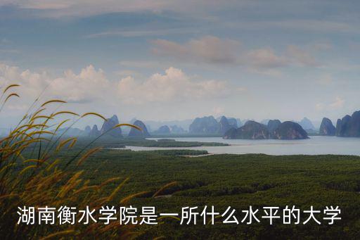 湖南衡水學院是一所什么水平的大學
