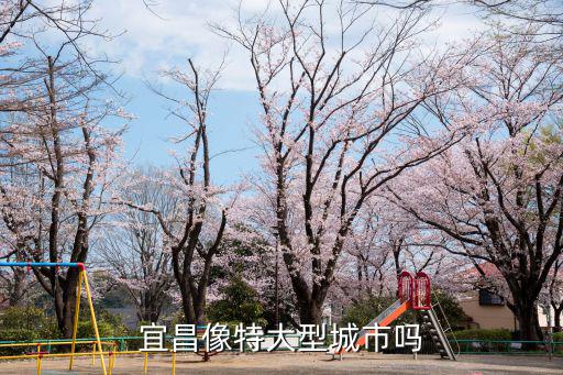 宜昌城大建設公司怎么樣,宜昌有什么大公司