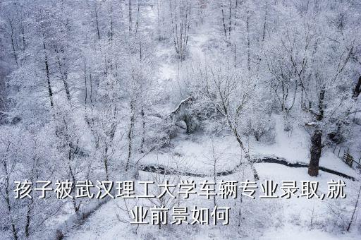 孩子被武漢理工大學車輛專業錄取,就業前景如何