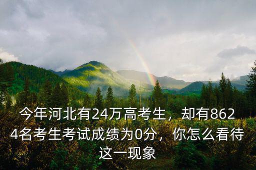河北省今年多少萬考生,今年河北有24萬高考生