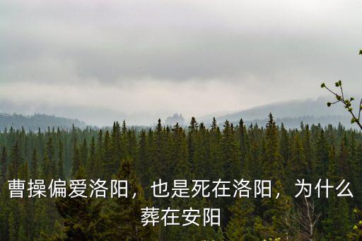 曹操在洛陽怎么樣,曹操偏愛洛陽