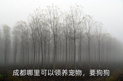 成都哪里可以領養寵物，要狗狗