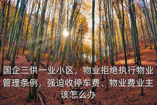 國企三供一業小區，物業拒絕執行物業管理條例，強迫收停車費、物業費業主該怎么辦