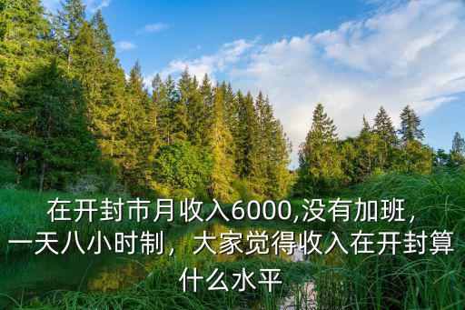 在開封收入多少,在開封市月收入6000