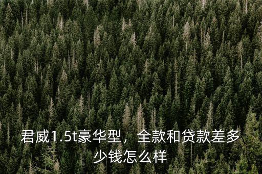 阜陽市君威1.5豪華落地多少錢,全款和貸款差多少錢