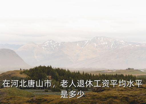 唐山市工齡42年退休金是多少,老人退休工資平均水平是多少