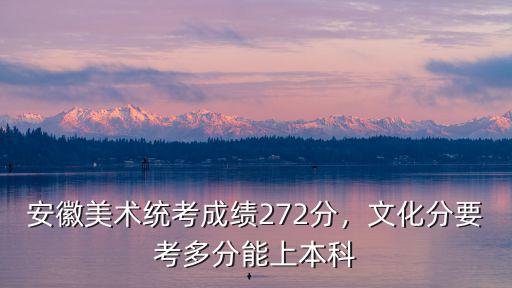 安徽美術統考成績272分，文化分要考多分能上本科