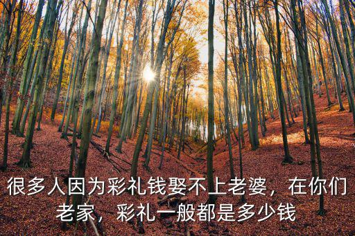 合肥長豐結(jié)婚彩禮錢是多少,合肥結(jié)婚一般彩禮要多少