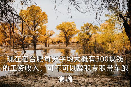 現(xiàn)在在合肥每天平均大概有300塊錢的工資收入，可不可以辭職專職帶車跑滴滴