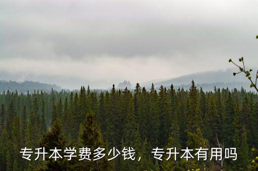 專升本學費多少錢，專升本有用嗎