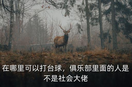 巴中通江哪里有打臺球的,在哪里可以打臺球