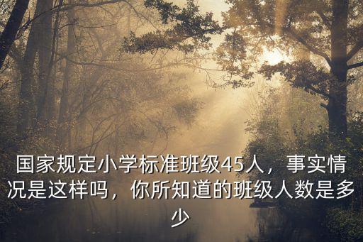 國(guó)家規(guī)定小學(xué)標(biāo)準(zhǔn)班級(jí)45人，事實(shí)情況是這樣嗎，你所知道的班級(jí)人數(shù)是多少