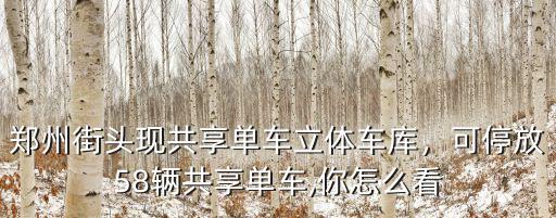 鄭州街頭現共享單車立體車庫，可停放58輛共享單車,你怎么看