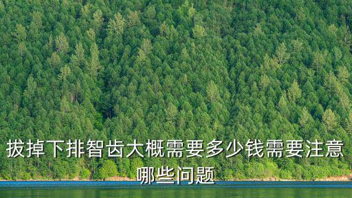 拔掉下排智齒大概需要多少錢需要注意哪些問題