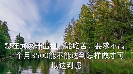 想在武漢開出租、能吃苦，要求不高，一個月3500能不能達到怎樣做才可以達到呢