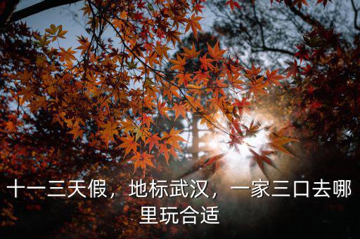 十一一天武漢怎么玩好,十一去武漢三天兩夜怎么玩