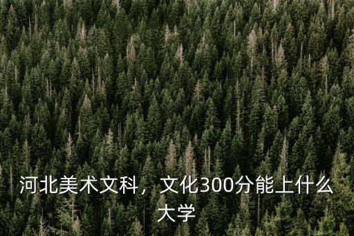 河北美術文科，文化300分能上什么大學