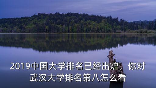 武漢大學專業排名怎么算,你對武漢大學排名第八怎么看