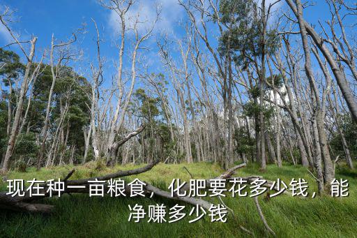 神宇復合肥多少錢,復合肥多少錢一袋