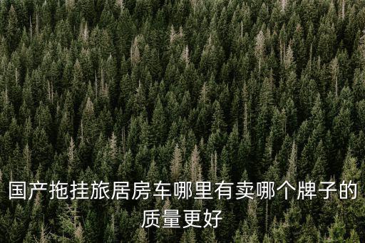 國產拖掛旅居房車哪里有賣哪個牌子的質量更好