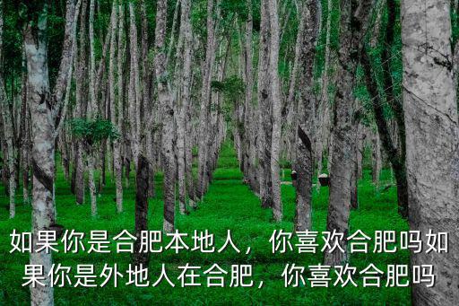 如果你是合肥本地人，你喜歡合肥嗎如果你是外地人在合肥，你喜歡合肥嗎