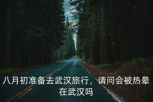 八月初準備去武漢旅行，請問會被熱暈在武漢嗎
