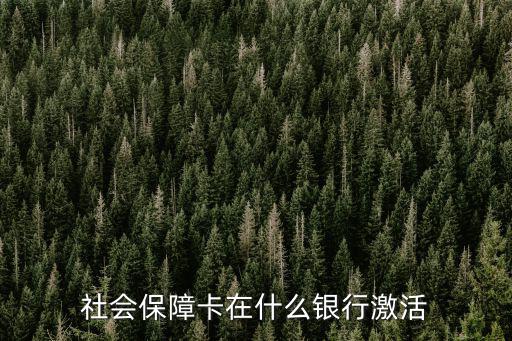 涼山社保卡在哪里激活,社保卡怎么激活