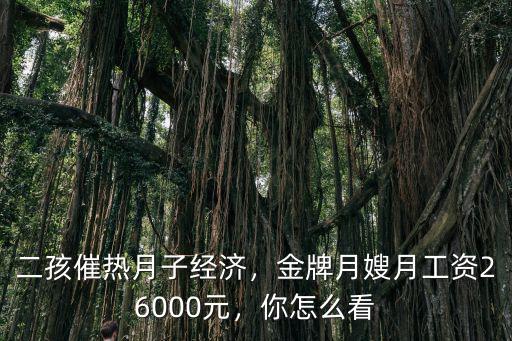 合肥金牌月嫂工資多少,金牌月嫂月工資26000元