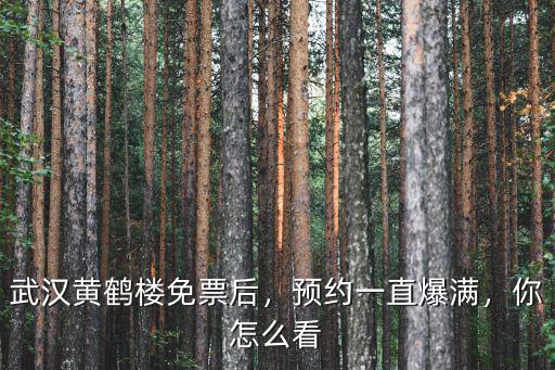 武漢黃鶴樓免票后，預約一直爆滿，你怎么看