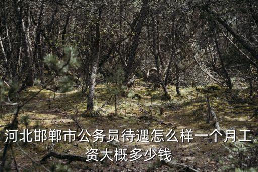 河北邯鄲市公務員待遇怎么樣一個月工資大概多少錢