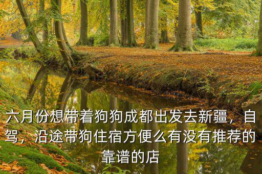 成都哪里帶狗狗,成都哪里可以領養寵物