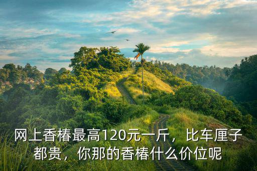 網上香椿最高120元一斤，比車厘子都貴，你那的香椿什么價位呢
