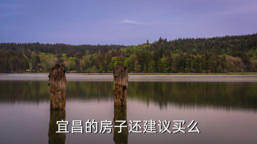 宜昌的房子還建議買么