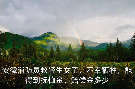 亳州犧牲多少名消防員,四川大火犧牲的30名消防員