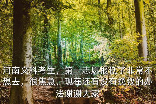 河南文科考生，第一志愿報低了非常不想去，很焦急，現在還有沒有挽救的辦法謝謝大家