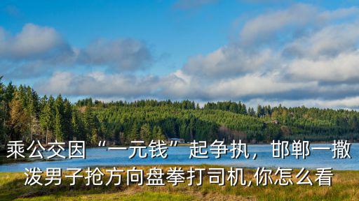 乘公交因“一元錢”起爭執(zhí)，邯鄲一撒潑男子搶方向盤拳打司機(jī),你怎么看