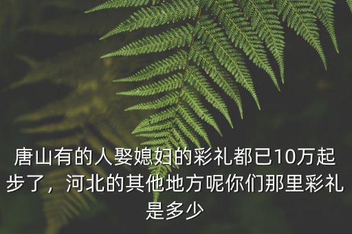 河北女兒出嫁要多少彩禮,你們那里彩禮是多少