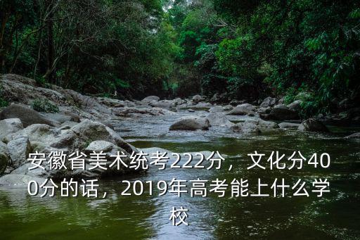 安徽省美術統(tǒng)考222分，文化分400分的話，2019年高考能上什么學校