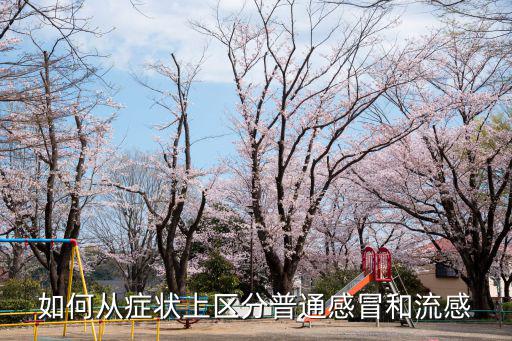 怎么判斷武漢流感癥狀,如果患上甲型流感該怎么判斷