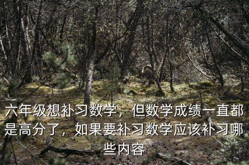 六年級想補習數學，但數學成績一直都是高分了，如果要補習數學應該補習哪些內容