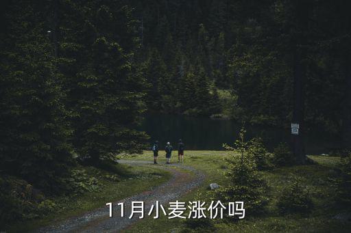11月小麥漲價嗎