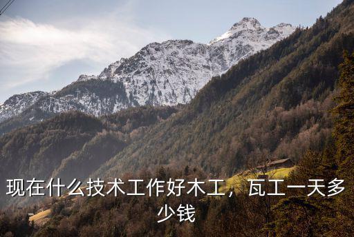 安徽農村瓦工工資多少,瓦工一天多少錢
