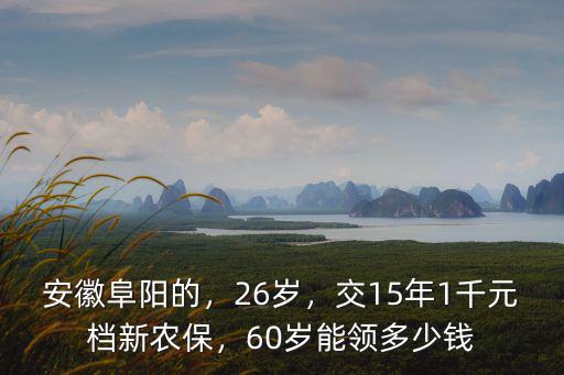 安徽新農(nóng)保交1000拿多少,60歲能領(lǐng)多少錢