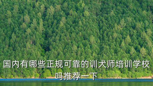 四川哪里有訓(xùn)犬師培訓(xùn)學(xué)校,訓(xùn)狗師培訓(xùn)學(xué)校哪家好