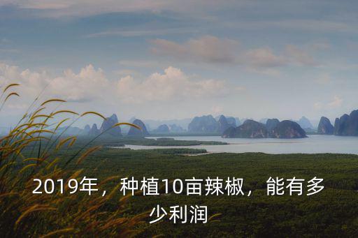 鄭州小米辣椒種植多少畝,種植10畝辣椒