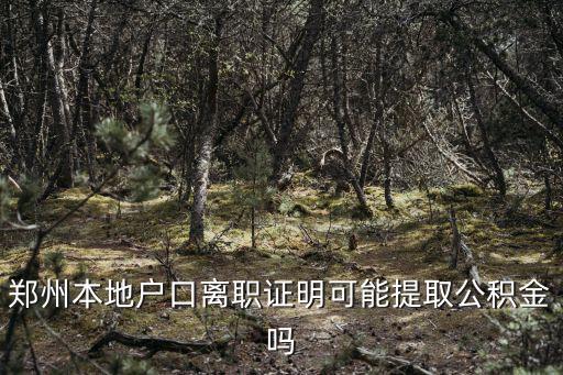 離職鄭州公積金怎么提取公積金,鄭州公積金怎么提取