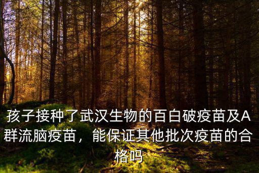 孩子接種了武漢生物的百白破疫苗及A群流腦疫苗，能保證其他批次疫苗的合格嗎