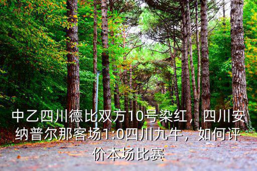 中乙四川德比雙方10號染紅，四川安納普爾那客場1:0四川九牛，如何評價本場比賽