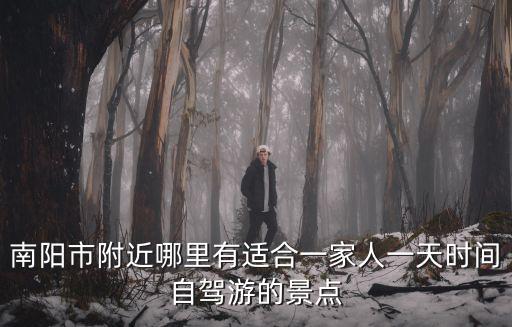南陽市附近哪里有適合一家人一天時間自駕游的景點