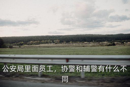 公安局里面員工，協警和輔警有什么不同